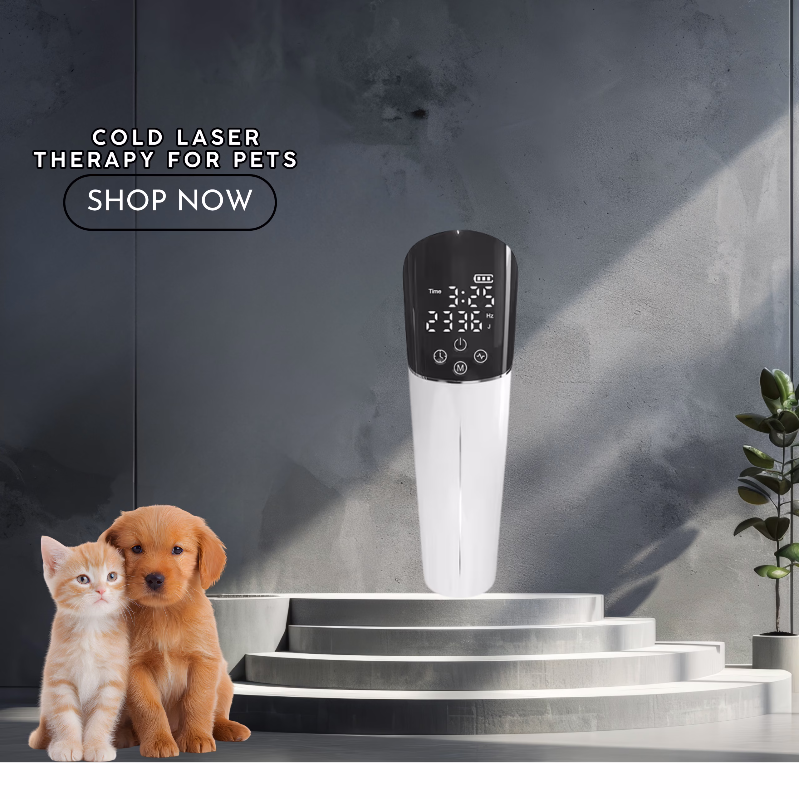 Cold laser therapy for pets — red light healing treatment for dogs and cats